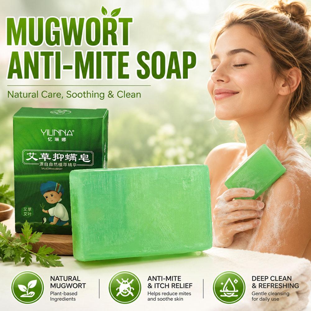 1/2/3/4/5/10PCS Handmade Wormw - Essential Oil Soap ulasan dan harga
